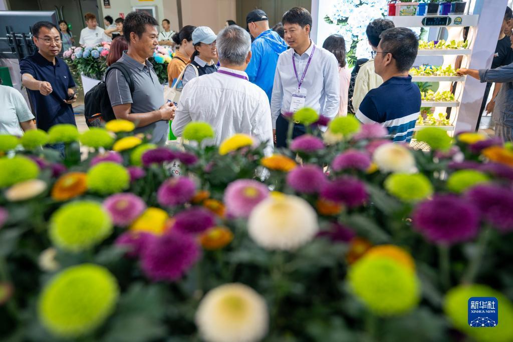 永利电脑下载